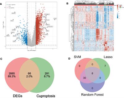 Study on the role and pharmacology of cuproptosis in gastric cancer